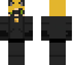 cat noir