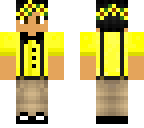 bedazled sunflower