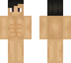 skinbase sir