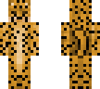cheetah
