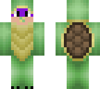kawaii turtle