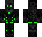 the skin