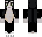 black siamese cat for friend