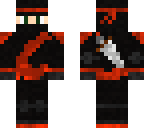 cool ninja