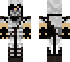 assassin's creed skin thing kinda