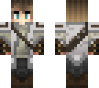 skin fixed - smallpug