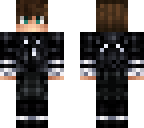 test paintnet skin