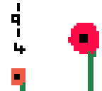 poppy