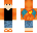 charizard boy costume