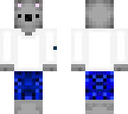 koala esey styl