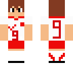 poland  footballer lewandowski