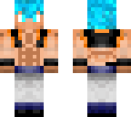 ssbgogeta