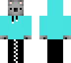 villes skin