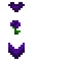 contest purple or violet