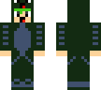 turtle kid