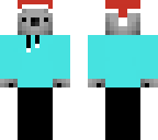 villes julskin
