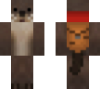adventure otter