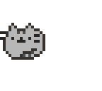 pusheeny