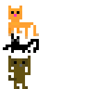 dogs and cats