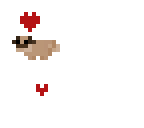 pugs are bae 16 followers xd