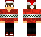 wiunter skin