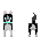 black and white doggy