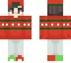 shanx christmas skin and hat