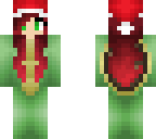 christmas turtle