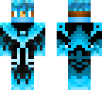 icy ninja