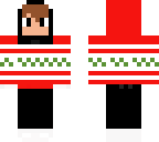 chirstmas cat