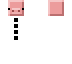 snowpig
