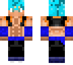 gogeta god