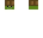 treasure the turtle