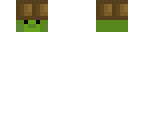 treasure the turtle