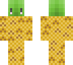 pineapple guy
