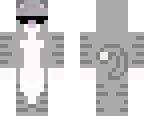 kitty cat