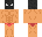 spider_chon