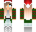 christmas special skin