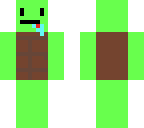 hai im turtle