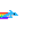 nyan dolphin --- ultrabobt