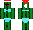 christmas derp cactus