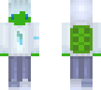 the icy tortoise