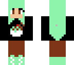 mint chocolate chip
