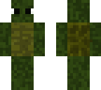 somewhat a turtle