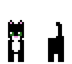 black cat