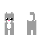 gray cat