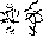 black and white 
