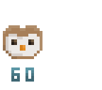 60 owls