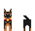 german shepard