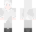 snelf skin for cookie